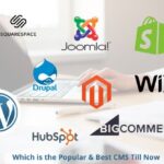 Which is The Most Popular and Best CMS Till 2022, popular cms, websiteslearn, websites learn, websiteslearn.com, habib coder, habibcoder, hr habib, hrhabibpro